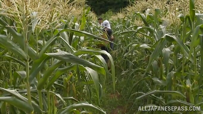 Japanese Peasant Couple Fuck In The Field Japanese Peasant Couple Fuck In The Field
