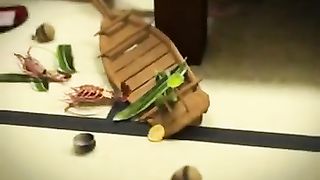 Old Man Fuck Asian Whore Old Man Fuck Asian Whore