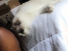 Panda Selfie Panda Selfie