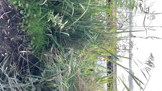 Young Hot Blonde Lets Me Play With Her Pussy In Public Park RISKY PUBLIC POV Young Hot Blonde Lets Me Play With Her Pussy In Public Park RISKY PUBLIC POV