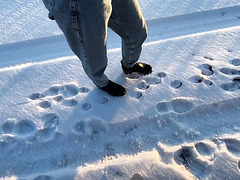 Slim Gal Pleases A Stranger With BJ In The Car And Hot Dick Riding In Her Flat For Giving Her A Lift Slim Gal Pleases A Stranger With BJ In The Car And Hot Dick Riding In Her Flat For Giving Her A Lift