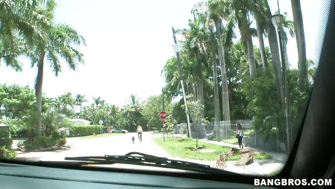 Blonde Babe Gets In The Bang Bus Blonde Babe Gets In The Bang Bus