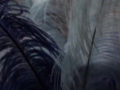 Cindy Behr And Paige Ashley's Dirty Threesome Unleashed