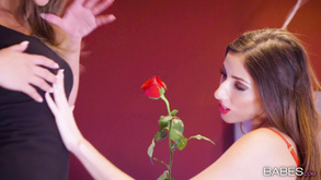 Honey I M Home 1 Office Obsession