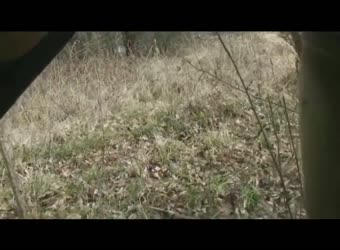 German Outdoor Quickie German Outdoor Quickie