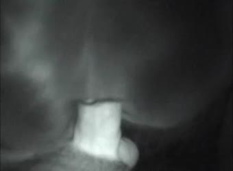 Cheating Wife With IT Guy In The Office Cheating Wife With IT Guy In The Office