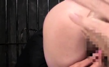 Bdsm Files 043 Yellow Kitty Bdsm Bondage Slave Bdsm Files 043 Yellow Kitty Bdsm Bondage Slave