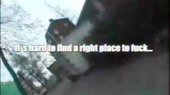 Japanese Public Blowjobs ~ Frenzy Of Hot Babes Sucking Cocks In Public Places