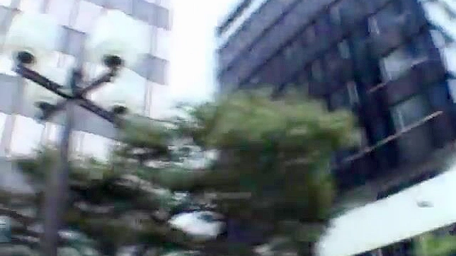 Public Exhibitionism Couple Takes It Off In Public Public Exhibitionism Couple Takes It Off In Public