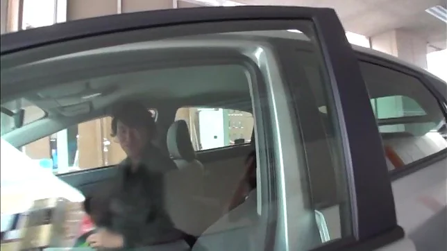 Teen Amateur Kokoro Haiya Masturbates Inside A Car Teen Amateur Kokoro Haiya Masturbates Inside A Car