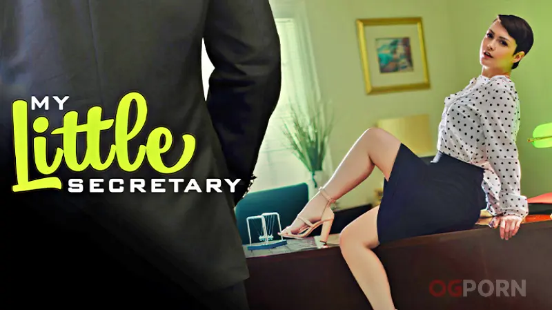 My Small Secretary My Small Secretary