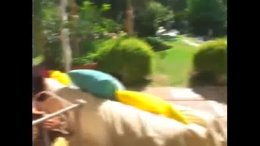 Gianna Michaels & Marsha Lord Rocco's Nasty Tails 8 Gianna Michaels & Marsha Lord Rocco's Nasty Tails 8