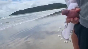 Mischievous Cougar Milks Me Off In Front Of Passersby Mischievous Cougar Milks Me Off In Front Of Passersby