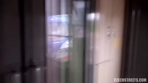 Sex With A Conductor In The Toilet E146