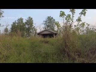 onlyfans robin hood888 s outdoor” loading=”lazy