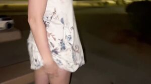 Nicole Niagara Masturbate Suck Fuck Then Cum On Pretty Face In Public Park