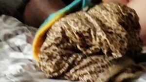 Came Home And Caught Wife Fucking Came Home And Caught Wife Fucking