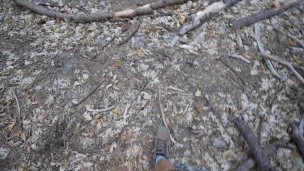 Thick Latina Step Sis Swallows My CUM In Yosemite National Park Cami Strella + Lev Lieben Thick Latina Step Sis Swallows My CUM In Yosemite National Park Cami Strella + Lev Lieben