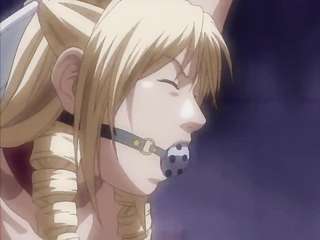 Discipline 3 Eng Sub Discipline 3 Eng Sub