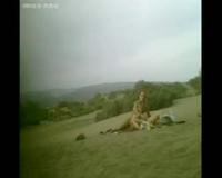 Voyeur Public Beach Sex Couple