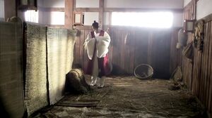 Park Sung Eun, Bae Seul Gi Korean Girl Ero Actress Sex Park Sung Eun, Bae Seul Gi Korean Girl Ero Actress Sex