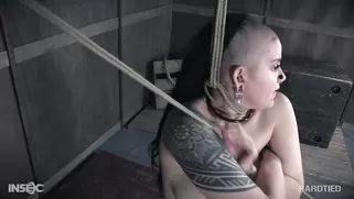 Hard Tied BBW With Tattoos And Pierced Pussy Is Getting In The Dungeon Hard Tied BBW With Tattoos And Pierced Pussy Is Getting In The Dungeon