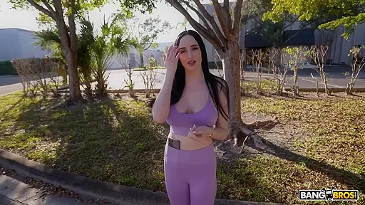 Bang Bus In Roses Are Red Violets Are Voss Bang Bus In Roses Are Red Violets Are Voss