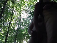 Skogvor VoRsK PHn MiLf SKf STut Skogvor VoRsK PHn MiLf SKf STut