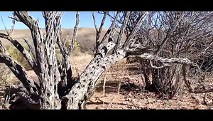 Outdoor Sex With Busty Blonde At The Canyon Outdoor Sex With Busty Blonde At The Canyon