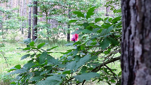 Nerdy German Hottie Fucks With A Stranger To Thank Him For Helping Her Find The Way In The Woods