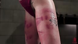 Bianka Strange Bondage Torment And Tears 19 01 2026