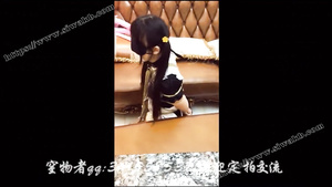 Chinese Breathplay Asian Bdsm Porn