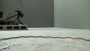 Busty Submissive Babe In Chain Tortured In The Basement Busty Submissive Babe In Chain Tortured In The Basement