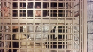 Blonde Goddess 1982 (2K)