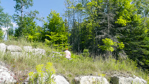 Amazing Bree Daniels Definitely Loves Some Sensual Intercourse Outdoors