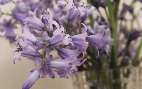 Incredible JOI Session With Smoking Hot Redhead Nurse Incredible JOI Session With Smoking Hot Redhead Nurse