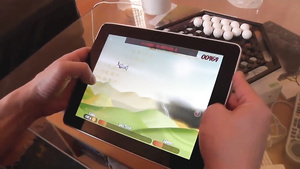 Copulating A French Escort Amateurs