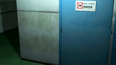 Huge Monkey Is Fucking Hot Brunette In Rough 3d Porn Huge Monkey Is Fucking Hot Brunette In Rough 3d Porn