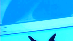 Crazy And Funny Hentai Xxx Porn Cartoon Video Crazy And Funny Hentai Xxx Porn Cartoon Video