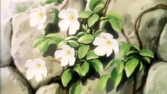 XXX Hentai Porn Cartoon Free Video For Your Entertaiment