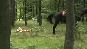 Outdoor Threesome Anal Orgy Outdoor Threesome Anal Orgy