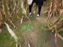 Curly Whore Wants Me To Gape Her Anal Outdoors Amateur POV Curly Whore Wants Me To Gape Her Anal Outdoors Amateur POV