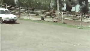 Karin Schubert Hardcore